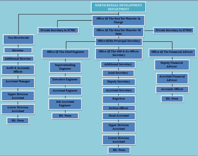 Organization Structure